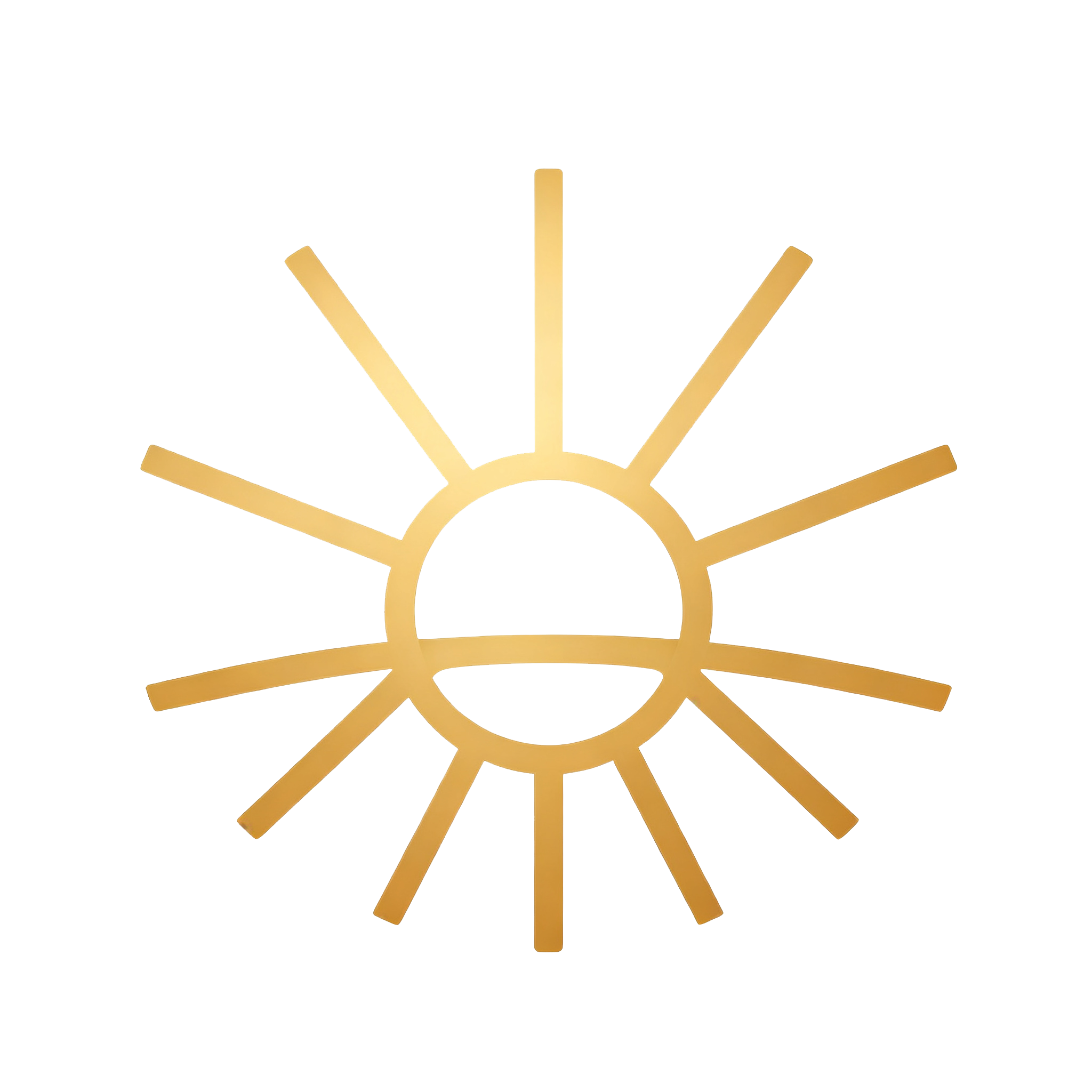 Shenzhen Lianying Sports Culture Development Co., Ltd. logo