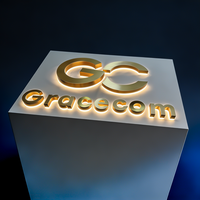 Enseigne en lettres en relief en acrylique rétroéclairées par LED 3D personnalisées pour les enseignes publicitaires extérieures des magasins