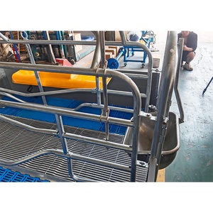 Sow Farrowing Pen-Buy Sow Farrowing Pen Sow Parrow Crates para la venta Jaulas de animales de granja de cerdos - Product Image 6