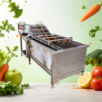 Fabrieksdirecte verkoop, 304 roestvrij staal, hogedruksproeier, fruitreinigingsmachine met bubbels