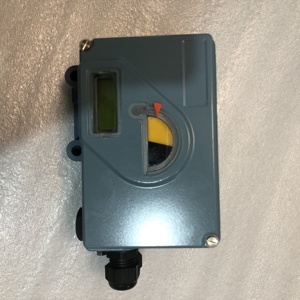 E&ckardt SRD991-BHQS7FAANY-V01 Intelligent 4-20mA 6bar Monostable Affichage LCD Multilingue - Product Image 3