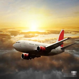 Trasporto Multimodale Cina Air+Express: Trasito Senza Interruzioni a Manaus con Consegna in 4-7 Giorni e Supporto 24/7 - Product Image 4