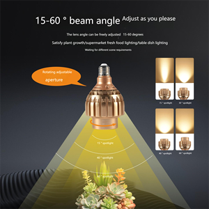 Venta caliente 20W Alto brillo <span class=keywords><strong>Foco</strong></span> ajustable Par30 <span class=keywords><strong>Foco</strong></span> <span class=keywords><strong>de</strong></span> luz <span class=keywords><strong>de</strong></span> relleno LED SMD 2835 Aluminio <span class=keywords><strong>para</strong></span> <span class=keywords><strong>crecimiento</strong></span> <span class=keywords><strong>de</strong></span> <span class=keywords><strong>plantas</strong></span> - Product Image 3