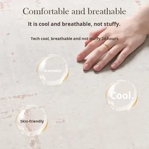 <span class=keywords><strong>Tapis</strong></span> de sol carré moderne en soie glacée rafraîchissante, style crème, nouveau <span class=keywords><strong>tapis</strong></span> de tatami d'été, lavable, essuyable, respirant, <span class=keywords><strong>tapis</strong></span> pour salon - Product Image 2