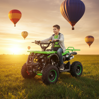 Quad pour enfants Tao Motor 2 temps 50cc automatique 36V à transmission par chaîne, ATV à essence 6 pouces