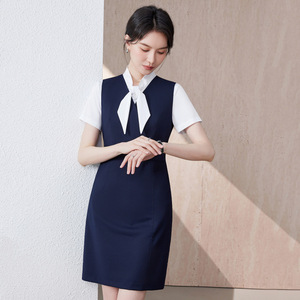 Women's Sleeveless Dress Tie Neck Mid Length Business Formal Career Dress Anti-Wrinkle Natural Waistline - Product Image 4