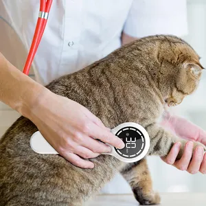 Penggunaan Dokter Hewan Berguna Tingkat Dingin Perangkat Terapi Laser Hewan Peliharaan Anjing Kucing Klinik Hewan Peliharaan Penyembuhan Luka Hewan Meringankan Rasa Sakit CE Persetujuan - Product Image 1