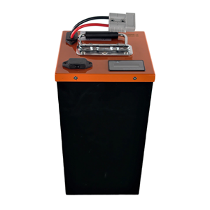 Draagbare 48V 30Ah LiFePO4 Lithium-batterijpack met handvat, oplaadbare batterij voor buiten, zonne-energie, e-boot - Product Image 5