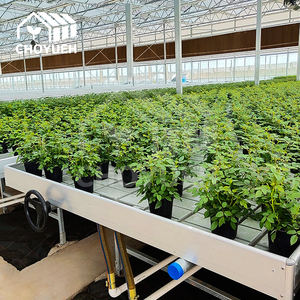 โต๊ะปลูกพืชแบบไฮโดรโปนิกส์แบบไหลลื่น CHOYUEH พร้อมถาดปลูกแบบน้ำท่วม ABS ราคาประหยัด สำหรับโรงเรือนเกษตร - Product Image 6
