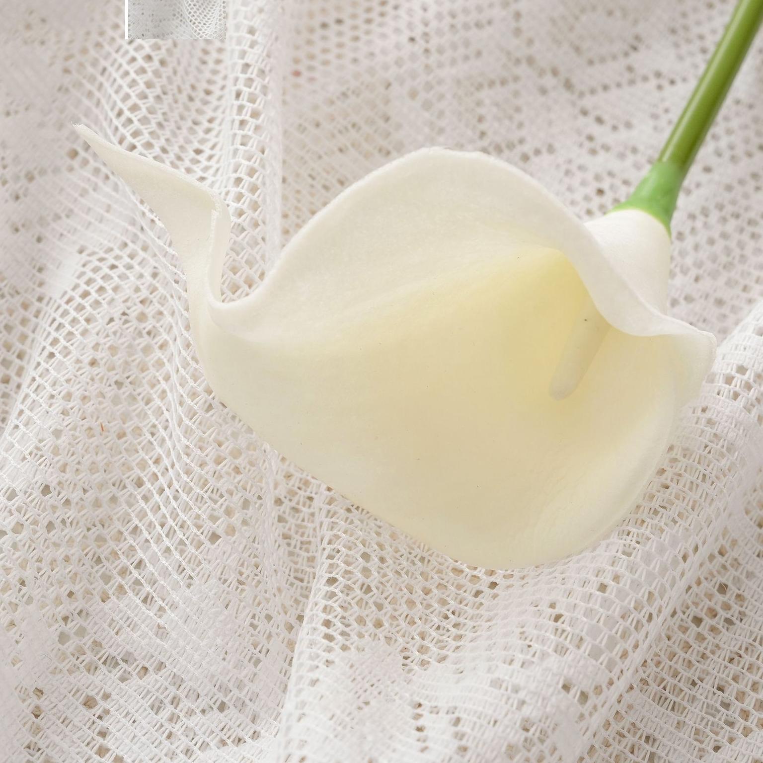 Blanc crème