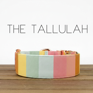 Le Tallulah-Collier de chien - Product Image 1
