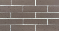Revêtement mural en briques flexibles ultra-minces de 2-3 mm, couleur brun cacao, fabrication OEM ODM pour revêtement de façade extérieur et intérieur