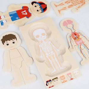 Rompecabezas Montessori de Madera para Aprender sobre las Partes del Cuerpo Humano, Anatomía del Esqueleto, Rompecabezas de Mi Cuerpo para Niños Pequeños, Niños y Niñas - Product Image 1