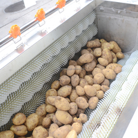 Légumes racines 500-1000kg/heure éplucheur de lavage de patates douces 304 acier inoxydable carotte gingembre lavage équipement d'épluchage
