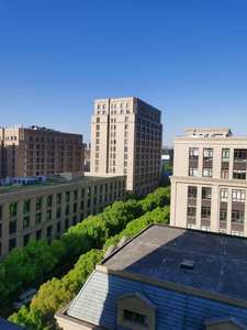 [HOSOME]CP USP Croscarmellose sodique <span class=keywords><strong>de</strong></span> qualité alimentaire à dissolution rapide en poudre en vrac CAS 74811-65-7 - Product Image 6