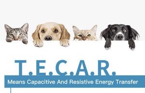 Profesional Tecar Therapy Physiotecar Diatermy Machine Tecar Therapy Fisioterapia Diatermia Cet Ret 448kHz Tecar para animales - Product Image 3