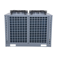 Unité de condensation à basse température de Copeland de machine de chambre froide refroidie par air commerciale de Ruitong avec le moteur de composant de noyau
