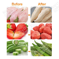 MY Industrial Large Liofilizador De Carne Levure d'oeuf 45kg Alimentaire Stay Fresh Vacuum Freeze Dry Price