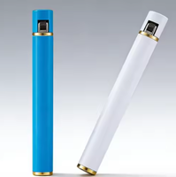 Briquet Électrique Rechargeable 2026, USB LED, Écologique, Style Luxe Premium