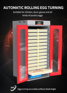 <span class=keywords><strong>Vente</strong></span> d'usine WONEGG : Incubateurs solaires de haute qualité 1352 pour l'éclosion d'œufs, incubateurs pour l'éclosion d'œufs 1000 - Product Image 4