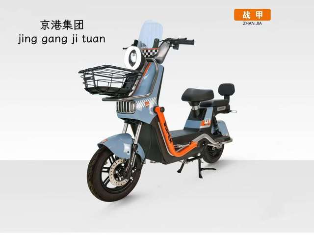 Fat Tire Electric Bike Cargo E Bike Motorcycle Electric Motorcycle Adult Electric Bike 500w