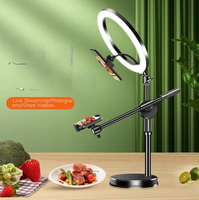Support de téléphone de bureau avec lumière intégrée, en ABS et acier inoxydable, nouveau style, personnalisable avec logo/emballage
