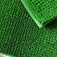 Tapis de gazon artificiel aspect naturel, gazon synthétique pour décoration de jardin extérieur, tapis de récupération d'or pour égouttoir minier