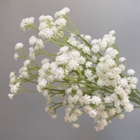 Fleurs artificielles séchées douces au toucher pour mariage et Saint-Valentin, gypsophile vintage, décoration florale intérieure pour hôtel et maison, automne