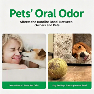 Spray Bucal Refrescante para Mascotas de Marca Privada para Perros y Gatos, Cuidado Bucal Natural, Elimina el <span class=keywords><strong>Mal</strong></span> <span class=keywords><strong>Aliento</strong></span>, Spray Dental - Product Image 2