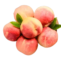 Premium Fruitnaalden-insteekmachine: Verbeter de smaakabsorptie van gedroogde bessen & meer
