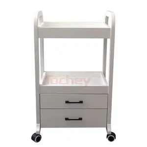 Hochey Professional hair salon equipment rolling spa gold side makeup cabinet organizer case wooden trolley for salon