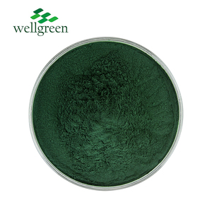 Extrait de feuille de mûrier d'usine poudre de chlorophylline de cuivre de sodium chlorophylline de cuivre de sodium naturel - Product Image 3