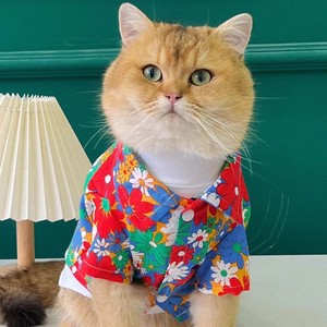 Chemise florale d'été pour chats et petits chiens, vêtements légers de style hawaïen pour animaux de compagnie - Product Image 1