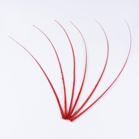 Vente en gros de plumes d'autruche colorées de 40-50 cm pour la création de chapeaux et la décoration de scène