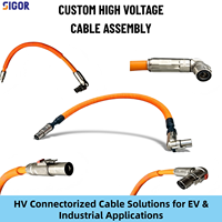 Harnais de câblage personnalisé haute tension en PVC/PBT/PTFE, assemblage de câbles étanche IP67 pour batterie automobile, onduleur PDU, contrôleur de moteur