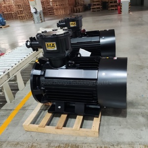 Motor de Acero Laminado a Prueba de Explosiones ATEX 30kw DC IE5 Ultra Premium Efficiency Ex E D 6 Fases Motores para Conversación Eléctrica - Product Image 5
