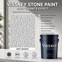 Revêtement liquide en acrylique Vissney 3D à texture de pierre artificielle pour mur, peinture décorative imperméable à appliquer au pinceau