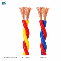 Fil flexible torsadé RVS