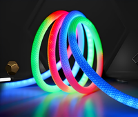 Rvb flexible couleur rêveuse corde de Noël lumière chambre intérieur 360 degrés circulaire maille super lumineux néon LED bande