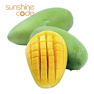 Sunshine Code มะม่วงฟิลิปปินส์สด มะม่วงออร์แกนิก มะม่วงเขียว ผลไม้ปากีสถาน