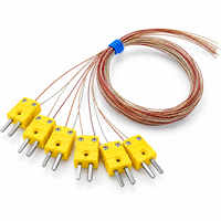 Sonde de température ultra-fine de type T, thermocouple de type K, longueur de sonde 0,5 mm, matériau PTFE, indice de protection IP65, OEM