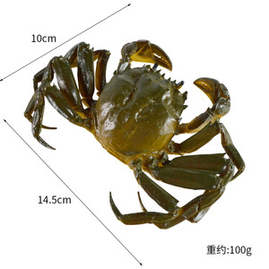 Modelo simulado <span class=keywords><strong>de</strong></span> <span class=keywords><strong>cangrejo</strong></span> peludo del lago Yangcheng, <span class=keywords><strong>cangrejo</strong></span> simulado, ingrediente <span class=keywords><strong>de</strong></span> mariscos, comida, escena <span class=keywords><strong>de</strong></span> cine y televisión, accesorio fotográfico. - Product Image 5