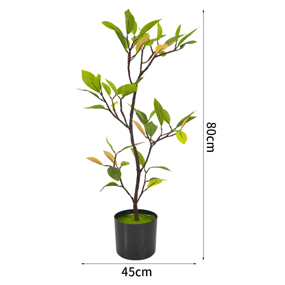 Mangrove Bonsai - Elegant Potted Trees for Indoor Decor
