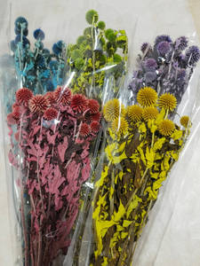 Cardo de globo azul natural (<span class=keywords><strong>Echinops</strong></span> Latifolius) Flores preservadas Boda rústica Bolas puntiagudas decorativas Ramo de habitación tintado - Product Image 2
