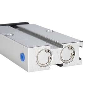 TN TDA Series กระบอกสูบคู่,กระบอกสูบลมก้านคู่พร้อมแม่เหล็ก - Product Image 2