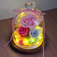 Lampe LED Rose Éternelle Préservée avec Véritables Roses Fraîches sous Cloche en Verre – Décoration pour la Saint-Valentin, la Fête des Mères, la Remise des Diplômes – Écologique