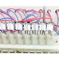 Ligne de remplissage liquide haute performance Bouteille liquide de chloroforme 1 Machine de remplissage de pesticides de 5 litres