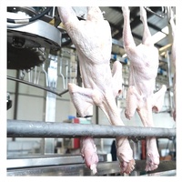 Équipement d'abattoir pour petits poulets, oies et lapins en Indonésie, 100-300 BPH / Machine d'abattage de volailles à vendre