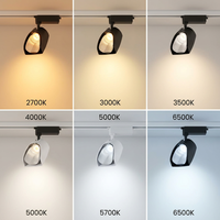 Projecteur LED COB intelligent CE RoHS 20W 30W, éclairage mural, projecteur orientable pour vitrine et plafond