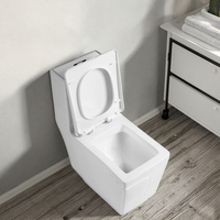 Fabriqué en Chine bidet carré siège de toilette blanc articles sanitaires vente chaude siphonique ligne moderne conception céramique une pièce toilette
